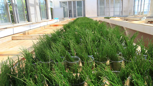 �����ˮ���紲